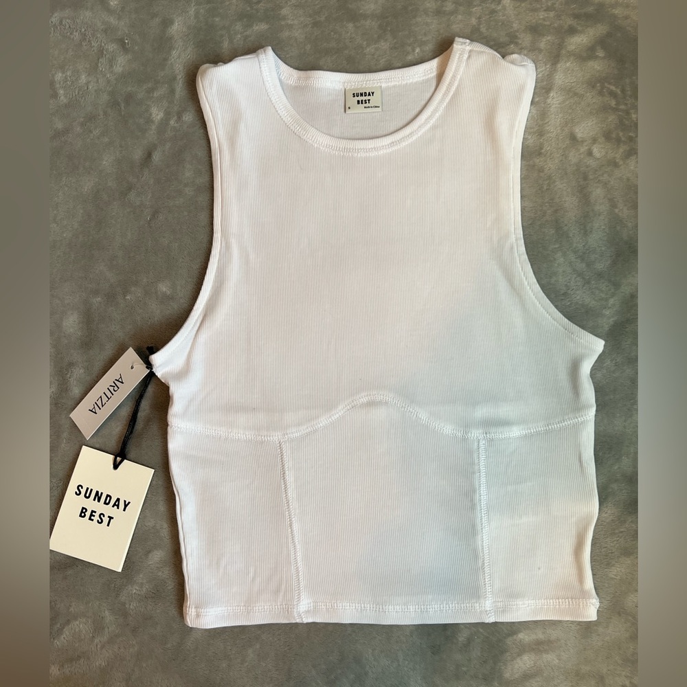 Aritzia Crop Top